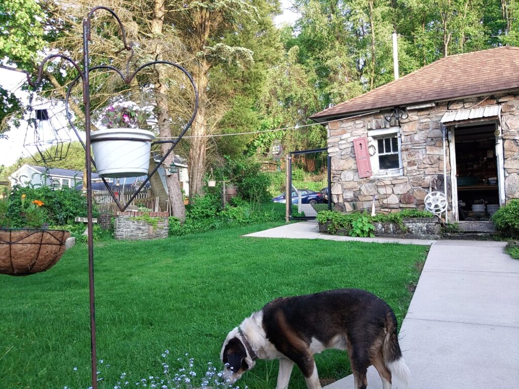 Custom steel garden support frame installed in residential yard