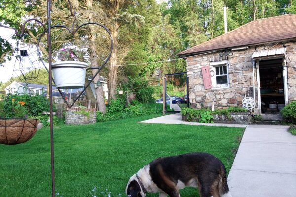 Custom steel garden support frame installed in residential yard