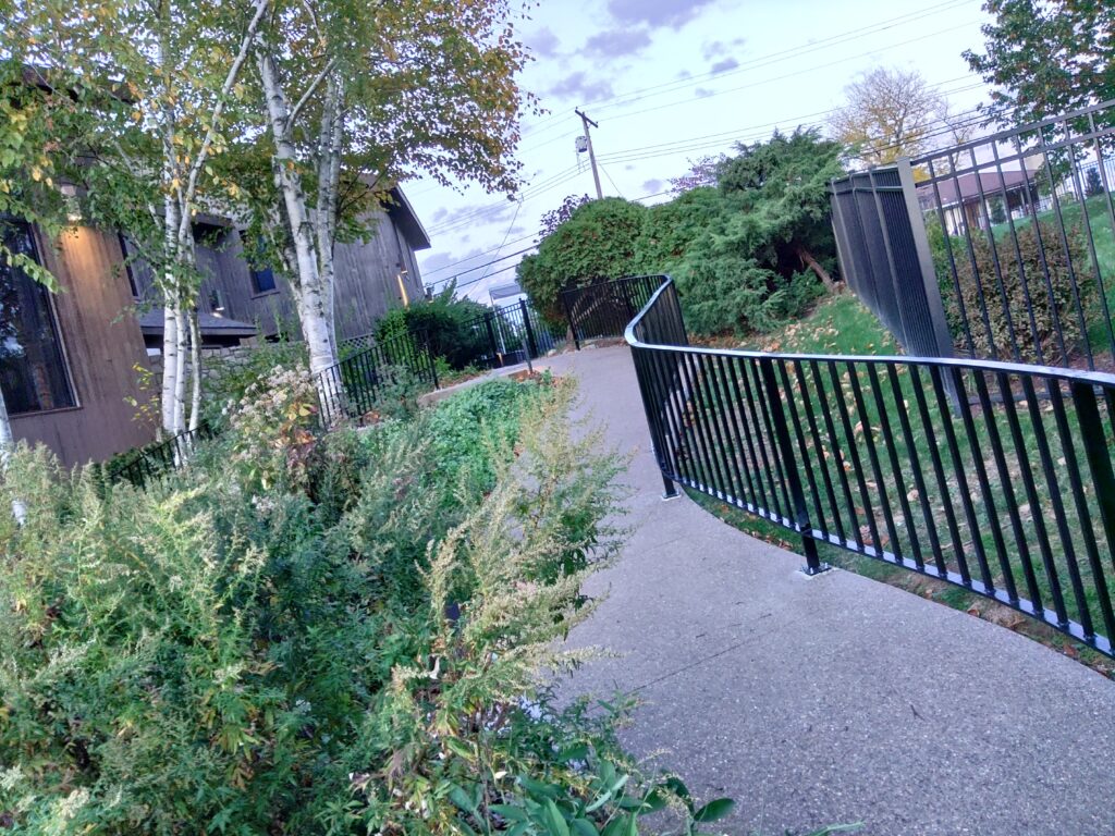 Custom black steel railing installed along landscaped walkway
